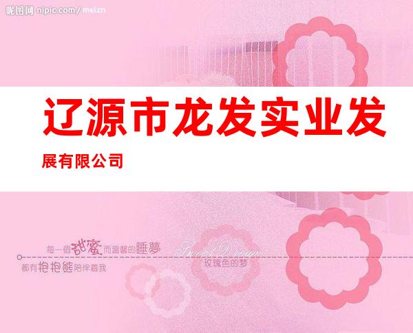辽源市龙发实业发展有限公司